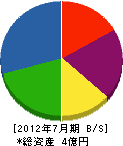 根津建設 貸借対照表 2012年7月期 根津建設 貸借対照表 2012年7月期