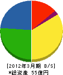 サンニチ印刷 貸借対照表 2012年3月期 サンニチ印刷 貸借対照表 2012年3月期