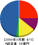 電通工業 貸借対照表 2008年3月期 電通工業 貸借対照表 2008年3月期