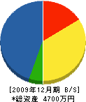 岩田建設 貸借対照表 2009年12月期 岩田建設 貸借対照表 2009年12月期