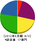 藤井組 貸借対照表 2012年6月期 藤井組 貸借対照表 2012年6月期