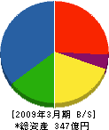 アタカ大機 貸借対照表 2009年3月期 アタカ大機 貸借対照表 2009年3月期
