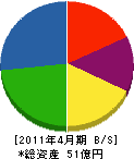 ツヅキ 貸借対照表 2011年4月期 ツヅキ 貸借対照表 2011年4月期