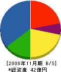 日本電算設備 貸借対照表 2008年11月期 日本電算設備 貸借対照表 2008年11月期