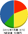 理水化学 貸借対照表 2012年7月期 理水化学 貸借対照表 2012年7月期