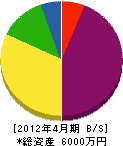 山昭 貸借対照表 2012年4月期 山昭 貸借対照表 2012年4月期