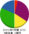 瀧澤建材 貸借対照表 2012年9月期 瀧澤建材 貸借対照表 2012年9月期