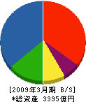 五洋建設 貸借対照表 2009年3月期 五洋建設 貸借対照表 2009年3月期