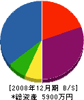 エフエムソリューション 貸借対照表 2008年12月期 エフエムソリューション 貸借対照表 2008年12月期