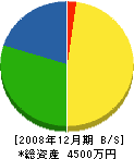 鈴木健治 貸借対照表 2008年12月期 鈴木健治 貸借対照表 2008年12月期