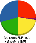 アイチテクノ 貸借対照表 2012年6月期 アイチテクノ 貸借対照表 2012年6月期