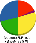 技研興業 貸借対照表 2009年3月期 技研興業 貸借対照表 2009年3月期