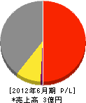 宝電設工業 損益計算書 2012年6月期 宝電設工業 損益計算書 2012年6月期