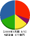 西武建設 貸借対照表 2009年3月期 西武建設 貸借対照表 2009年3月期