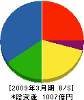 大成ロテック 貸借対照表 2009年3月期 大成ロテック 貸借対照表 2009年3月期