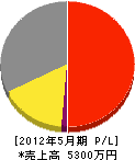 塩谷工業 損益計算書 2012年5月期 塩谷工業 損益計算書 2012年5月期