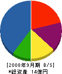 藤倉電気工業 貸借対照表 2008年9月期 藤倉電気工業 貸借対照表 2008年9月期