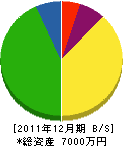 星実 貸借対照表 2011年12月期 星実 貸借対照表 2011年12月期
