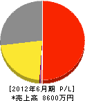 渡邊工業 損益計算書 2012年6月期 渡邊工業 損益計算書 2012年6月期