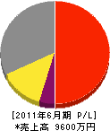 ひまわり塗装 損益計算書 2011年6月期 ひまわり塗装 損益計算書 2011年6月期