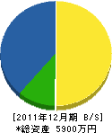 上野商店 貸借対照表 2011年12月期 上野商店 貸借対照表 2011年12月期