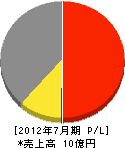 サカヱ 損益計算書 2012年7月期 サカヱ 損益計算書 2012年7月期