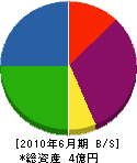 小嶋電工 貸借対照表 2010年6月期 小嶋電工 貸借対照表 2010年6月期