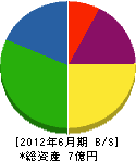 協和電気 貸借対照表 2012年6月期 協和電気 貸借対照表 2012年6月期