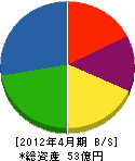 ツヅキ 貸借対照表 2012年4月期 ツヅキ 貸借対照表 2012年4月期