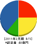 中日建設 貸借対照表 2011年2月期 中日建設 貸借対照表 2011年2月期