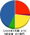 アイサワ工業 貸借対照表 2009年5月期 アイサワ工業 貸借対照表 2009年5月期