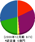 マクテック 貸借対照表 2008年12月期 マクテック 貸借対照表 2008年12月期