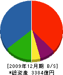 ツネイシホールディングス 貸借対照表 2009年12月期 ツネイシホールディングス 貸借対照表 2009年12月期
