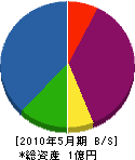 オオニシ 貸借対照表 2010年5月期 オオニシ 貸借対照表 2010年5月期