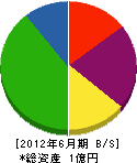 楠公建設 貸借対照表 2012年6月期 楠公建設 貸借対照表 2012年6月期