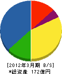 深田サルベージ建設 貸借対照表 2012年3月期 深田サルベージ建設 貸借対照表 2012年3月期