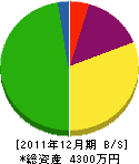 三幸電機 貸借対照表 2011年12月期 三幸電機 貸借対照表 2011年12月期