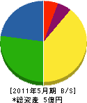 渡辺工業所 貸借対照表 2011年5月期 渡辺工業所 貸借対照表 2011年5月期