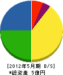 渡辺工業所 貸借対照表 2012年5月期 渡辺工業所 貸借対照表 2012年5月期