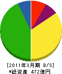 東北インテリジェント通信 貸借対照表 2011年3月期 東北インテリジェント通信 貸借対照表 2011年3月期