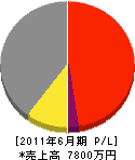 イスズ工務店 損益計算書 2011年6月期 イスズ工務店 損益計算書 2011年6月期