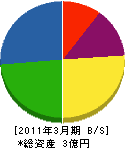 綜伸建設 貸借対照表 2011年3月期 綜伸建設 貸借対照表 2011年3月期