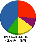 田川電工 貸借対照表 2011年6月期 田川電工 貸借対照表 2011年6月期