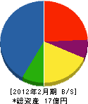 中央アイデン 貸借対照表 2012年2月期 中央アイデン 貸借対照表 2012年2月期