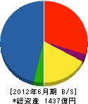 佐藤工業 貸借対照表 2012年6月期 佐藤工業 貸借対照表 2012年6月期