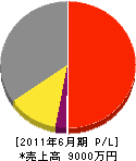 渡邊工業 損益計算書 2011年6月期 渡邊工業 損益計算書 2011年6月期