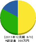 田辺造園 貸借対照表 2011年12月期 田辺造園 貸借対照表 2011年12月期