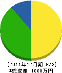 伊澤電気商会 貸借対照表 2011年12月期 伊澤電気商会 貸借対照表 2011年12月期