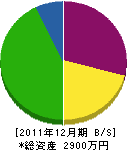 熊谷淳哉 貸借対照表 2011年12月期 熊谷淳哉 貸借対照表 2011年12月期