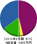 松野建材店 貸借対照表 2012年6月期 松野建材店 貸借対照表 2012年6月期